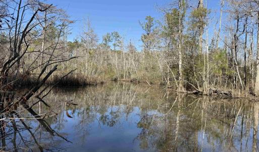 Photo #8 of 31.40 Acres-TBD Pennyroyal Rd., Georgetown, SC 31.4 acres