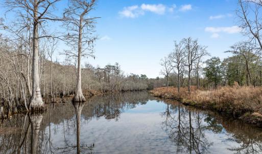 Photo #17 of TBD Reds Landing Rd., Andrews, SC 21.8 acres