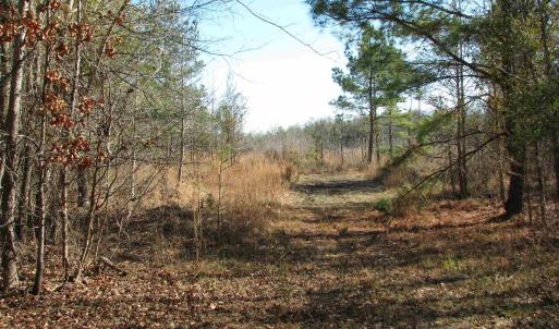 Photo #21 of Keystone Rd., Dalzell, SC 382.1 acres