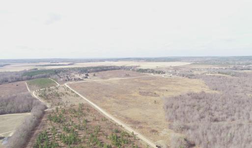 Photo #2 of Keystone Rd., Dalzell, SC 382.1 acres