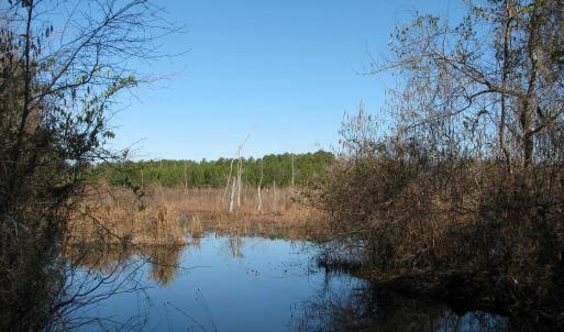 Photo #14 of Keystone Rd., Dalzell, SC 382.1 acres