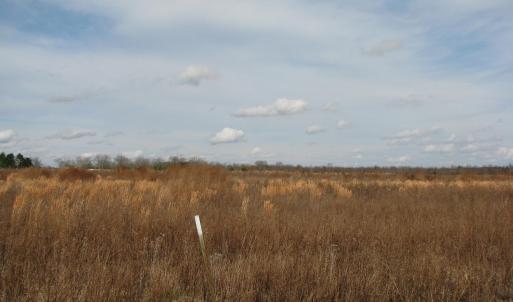 Photo #8 of Keystone Rd., Dalzell, SC 382.1 acres