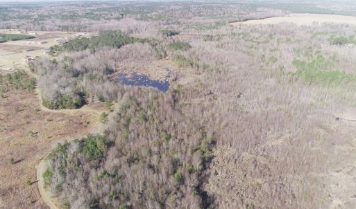 Photo #18 of Keystone Rd., Dalzell, SC 382.1 acres