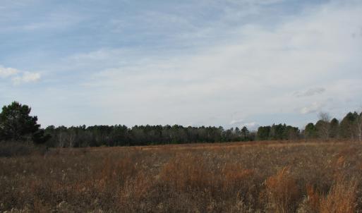 Photo #7 of Keystone Rd., Dalzell, SC 382.1 acres