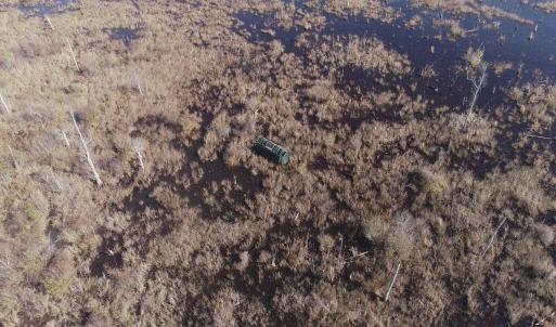 Photo #5 of Cannery Rd, Dalzell, SC 382.1 acres