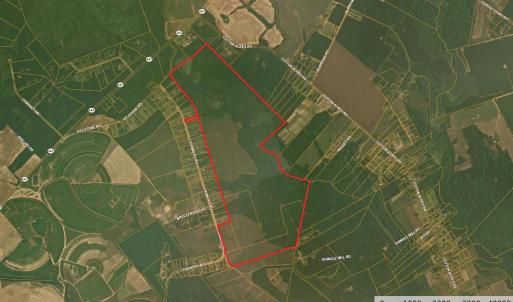 Photo #1 of Cannery Rd, Dalzell, SC 382.1 acres