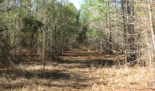 Photo #22 of Cannery Rd, Dalzell, SC 382.1 acres