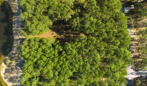 Photo #18 of 2781 Vanderbilt Blvd., Pawleys Island, SC 1.7 acres