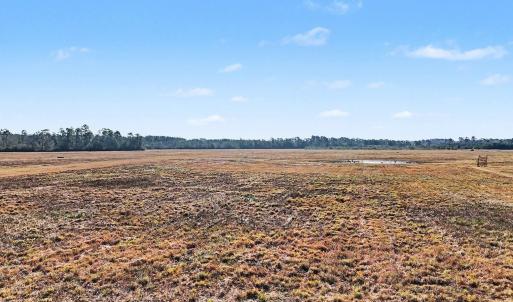 View of yard featuring a view of rural / pastoral