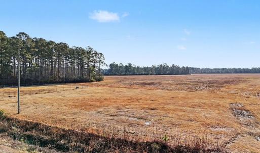 View of undeveloped land featuring rural landscape