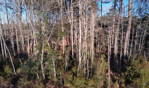 Photo #4 of TBD Samuels Ave, Salters, SC 2.1 acres