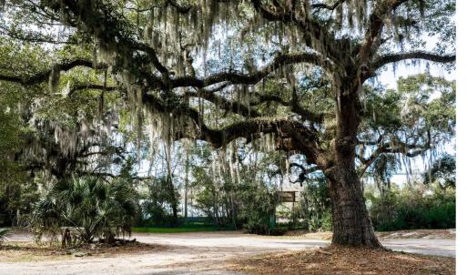 Photo #2 of 10670 Ocean Hwy., Pawleys Island, SC 2.9 acres