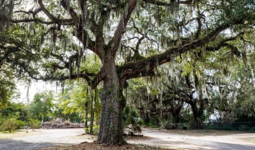 Photo #17 of 10670 Ocean Hwy., Pawleys Island, SC 2.9 acres