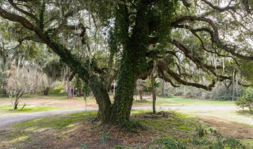 Photo #13 of 10670 Ocean Hwy., Pawleys Island, SC 2.9 acres