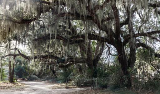 Photo #24 of 10670 Ocean Hwy., Pawleys Island, SC 2.9 acres
