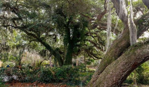 Photo #3 of 10670 Ocean Hwy., Pawleys Island, SC 2.9 acres