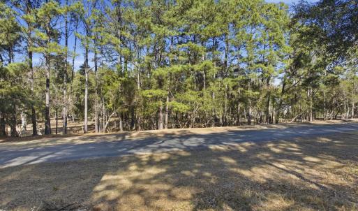 View of road featuring a forest view
