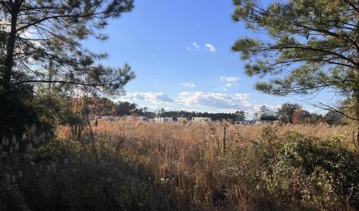 Photo #5 of 10.79 acres Highway 90, Longs, SC 10.8 acres