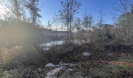 Photo #10 of 10.79 acres Highway 90, Longs, SC 10.8 acres