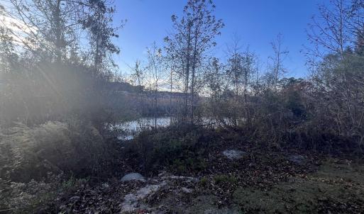 Photo #11 of 10.79 acres Highway 90, Longs, SC 10.8 acres