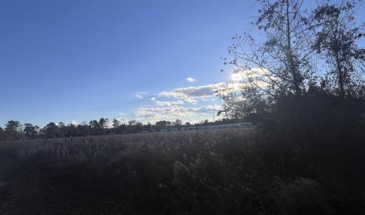Photo #4 of 10.79 acres Highway 90, Longs, SC 10.8 acres