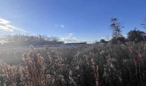 Photo #12 of 10.79 acres Highway 90, Longs, SC 10.8 acres