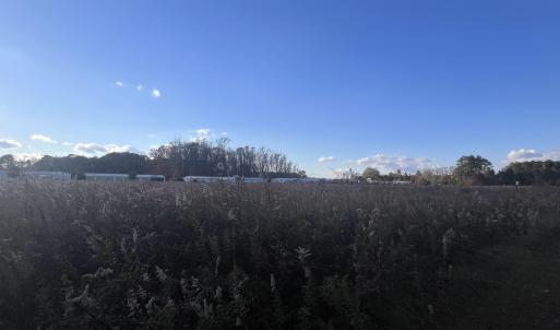 Photo #13 of 10.79 acres Highway 90, Longs, SC 10.8 acres