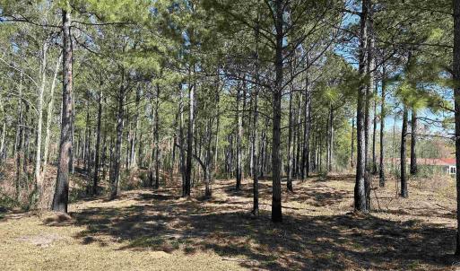 Photo #8 of Lot 6 - TBD Old Camp Ln., Salters, SC 1.2 acres