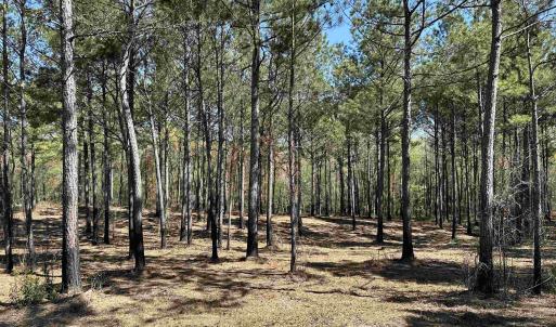 Photo #1 of Lot 6 - TBD Old Camp Ln., Salters, SC 1.2 acres