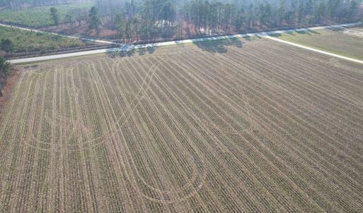 Photo #6 of Lot 34-TBD Gulley Ln., Salters, SC 2.4 acres