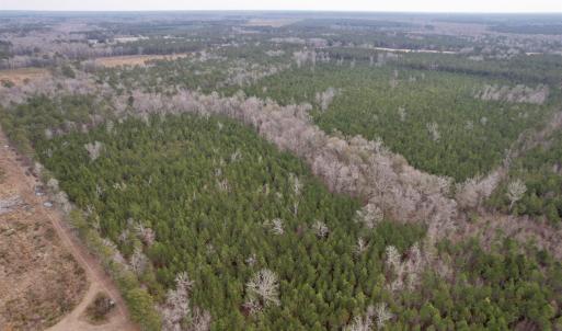 Photo #2 of 106.6 Acres-TBD Highway 52, Salters, SC 106.6 acres