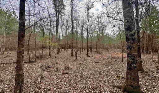 Photo #22 of 106.6 Acres-TBD Highway 52, Salters, SC 106.6 acres