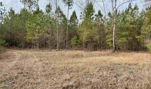 Photo #16 of 106.6 Acres-TBD Highway 52, Salters, SC 106.6 acres