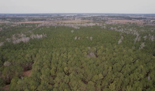 Photo #44 of 106.6 Acres-TBD Highway 52, Salters, SC 106.6 acres