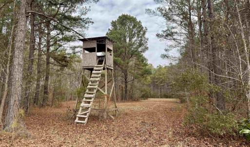 Photo #30 of 106.6 Acres-TBD Highway 52, Salters, SC 106.6 acres