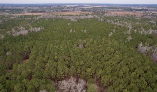 Photo #43 of 106.6 Acres-TBD Highway 52, Salters, SC 106.6 acres