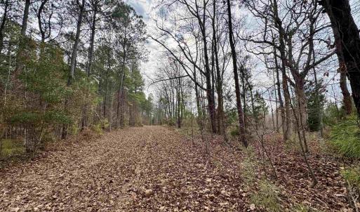 Photo #29 of 106.6 Acres-TBD Highway 52, Salters, SC 106.6 acres