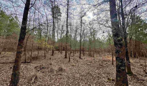 Photo #23 of 106.6 Acres-TBD Highway 52, Salters, SC 106.6 acres