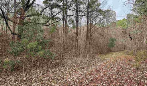 Photo #37 of 106.6 Acres-TBD Highway 52, Salters, SC 106.6 acres