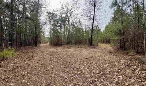 Photo #10 of 106.6 Acres-TBD Highway 52, Salters, SC 106.6 acres