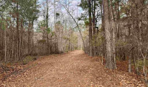 Photo #11 of 106.6 Acres-TBD Highway 52, Salters, SC 106.6 acres