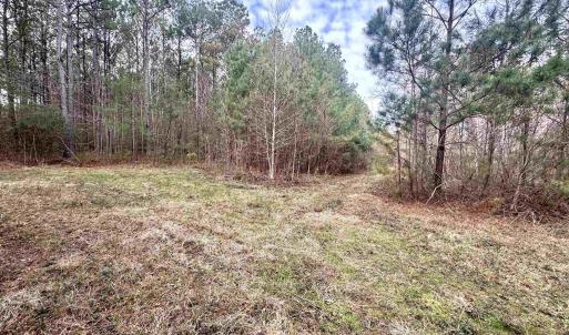 Photo #4 of 106.6 Acres-TBD Highway 52, Salters, SC 106.6 acres