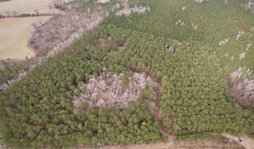 Photo #41 of 106.6 Acres-TBD Highway 52, Salters, SC 106.6 acres