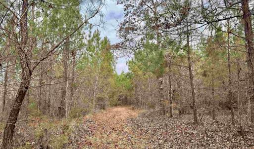 Photo #18 of 106.6 Acres-TBD Highway 52, Salters, SC 106.6 acres