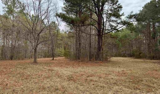 Photo #32 of 106.6 Acres-TBD Highway 52, Salters, SC 106.6 acres