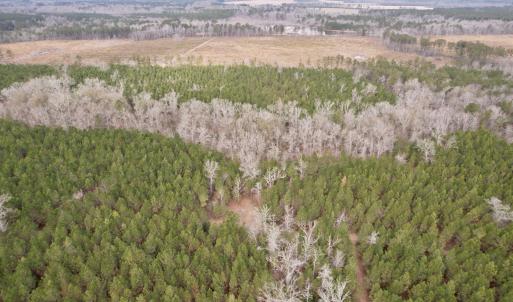 Photo #50 of 106.6 Acres-TBD Highway 52, Salters, SC 106.6 acres
