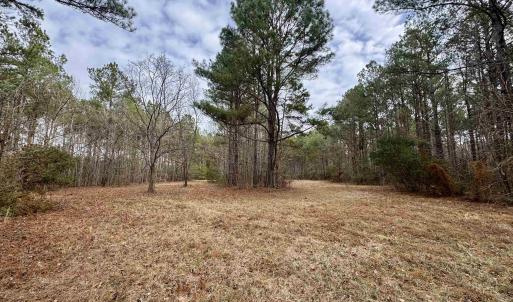 Photo #33 of 106.6 Acres-TBD Highway 52, Salters, SC 106.6 acres