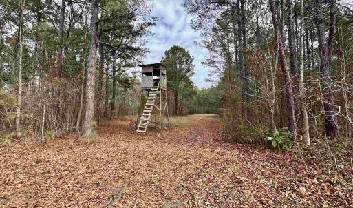 Photo #31 of 106.6 Acres-TBD Highway 52, Salters, SC 106.6 acres