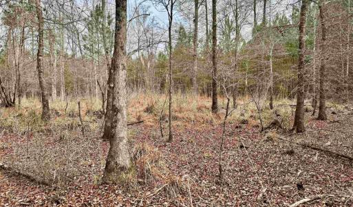 Photo #25 of 106.6 Acres-TBD Highway 52, Salters, SC 106.6 acres