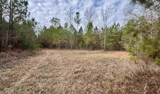 Photo #17 of 106.6 Acres-TBD Highway 52, Salters, SC 106.6 acres